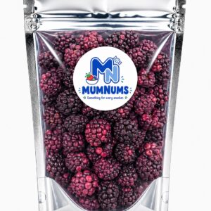 Freeze Dried Blackberries