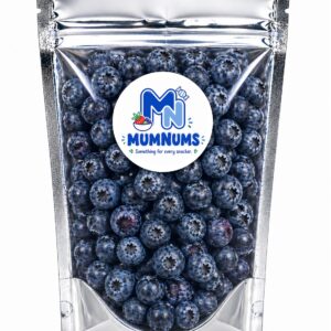 Freeze Dried Blueberries